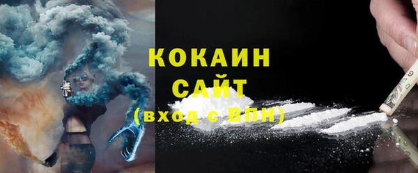 PSILOCYBIN Алзамай