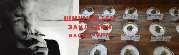 PSILOCYBIN Алзамай