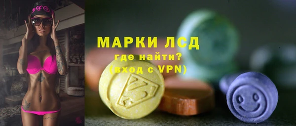 PSILOCYBIN Алзамай