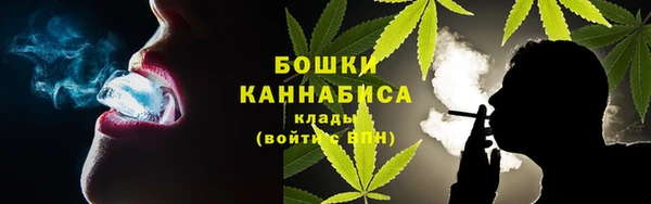 PSILOCYBIN Алзамай