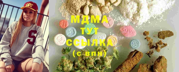 PSILOCYBIN Алзамай