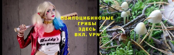 амф Россошь