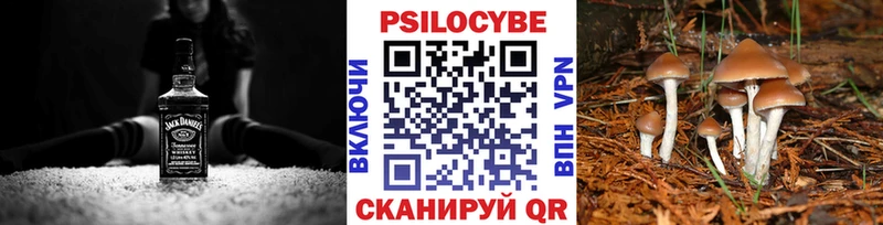 купить закладку  Яровое  OMG ССЫЛКА  Галлюциногенные грибы Psilocybine cubensis 